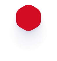 Global Distribution Network